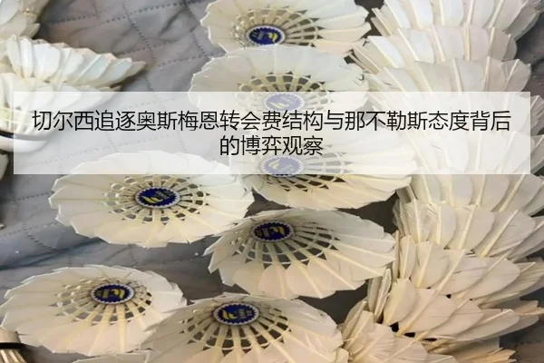 切尔西追逐奥斯梅恩转会费结构与那不勒斯态度背后的博弈观察